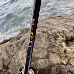 夏らしさ全開！