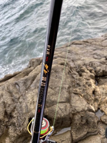 夏らしさ全開！