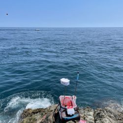 New Vハード強し❗️