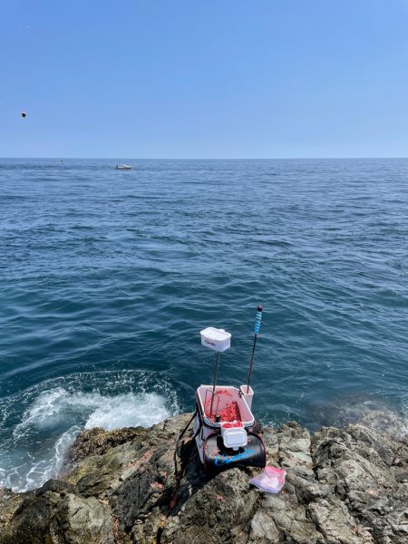 New Vハード強し❗️