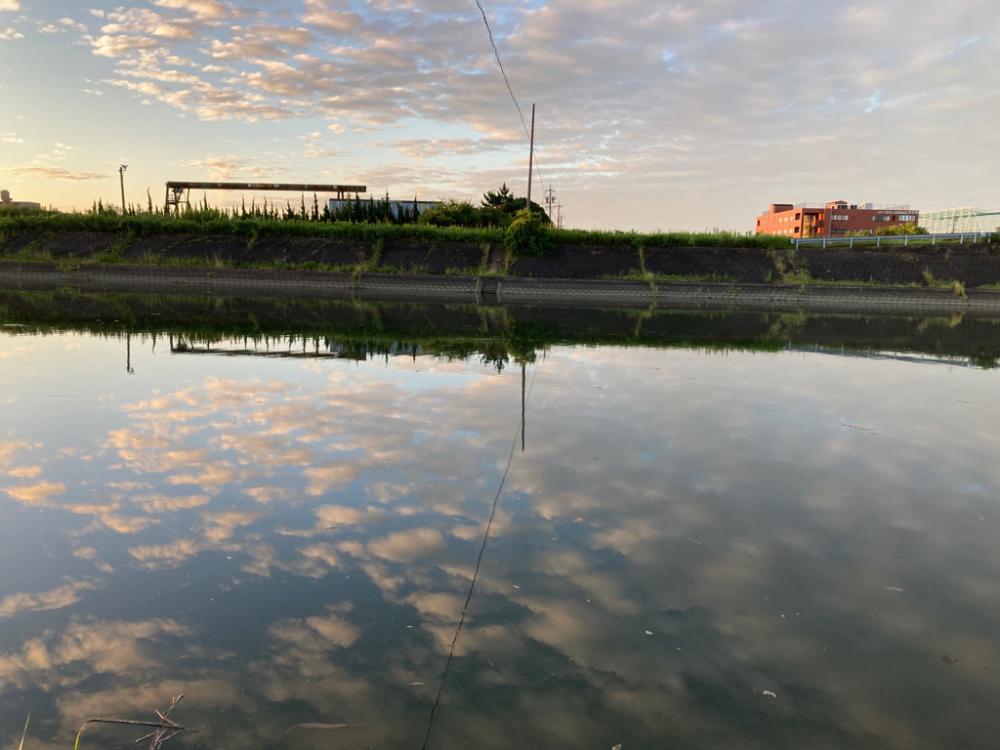 河口でシーバス