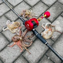 南港タコ釣り