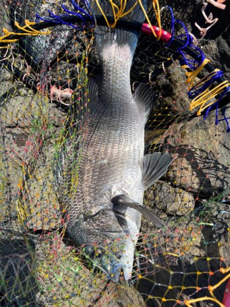 由良暮泉ハナレ