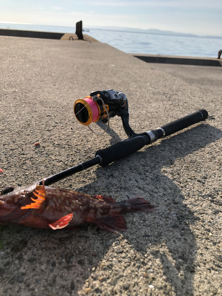 沖堤防で五目釣り