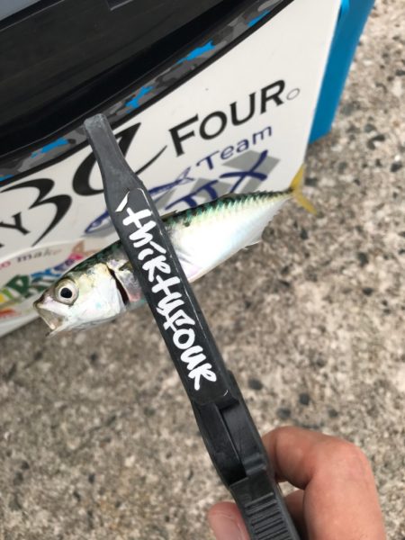 帰宅前アジング