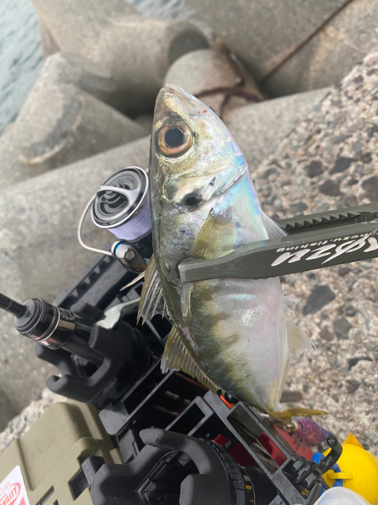 テトラ帯での釣り