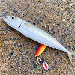 無限サバゲー開幕にゃ！