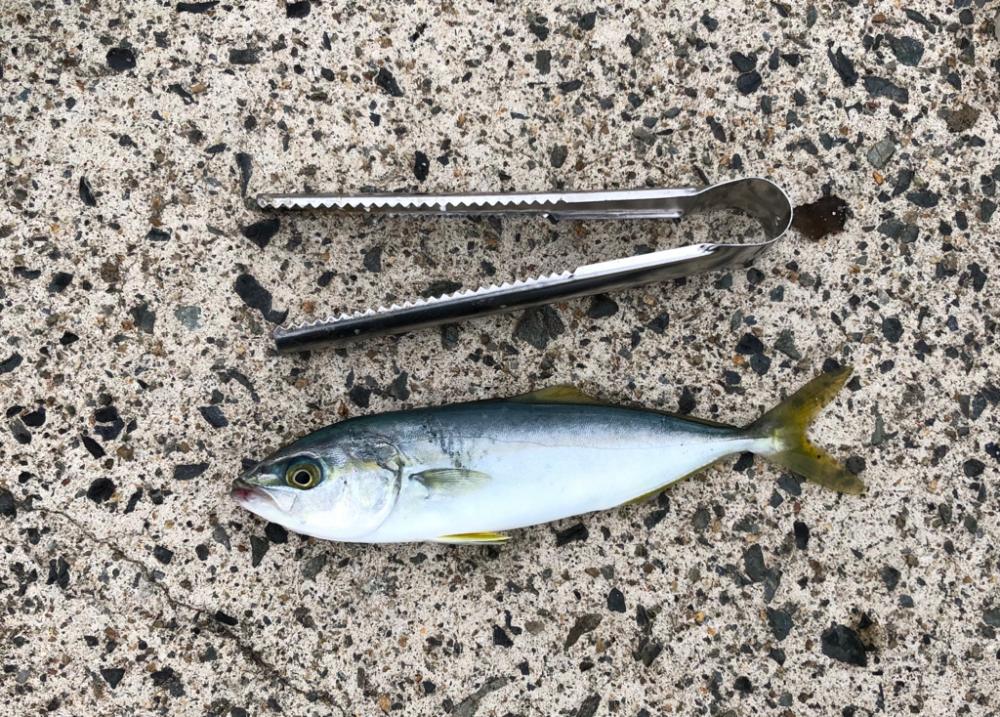 マイクロジギング?