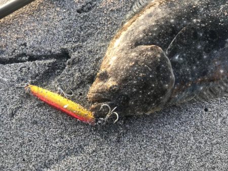 久しぶりのサーフでヒラメ