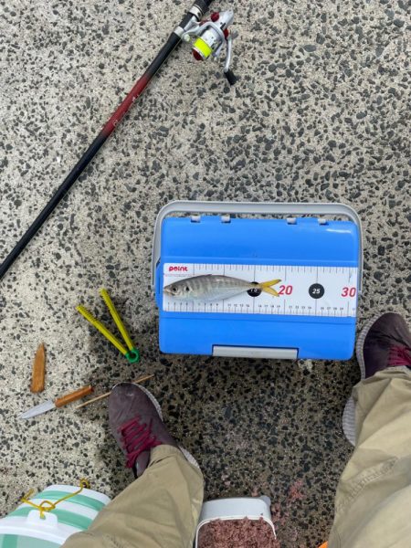 島根県　初、遠投サビキ。