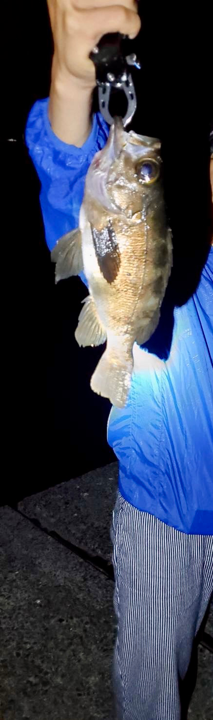 釣れてよかったー！