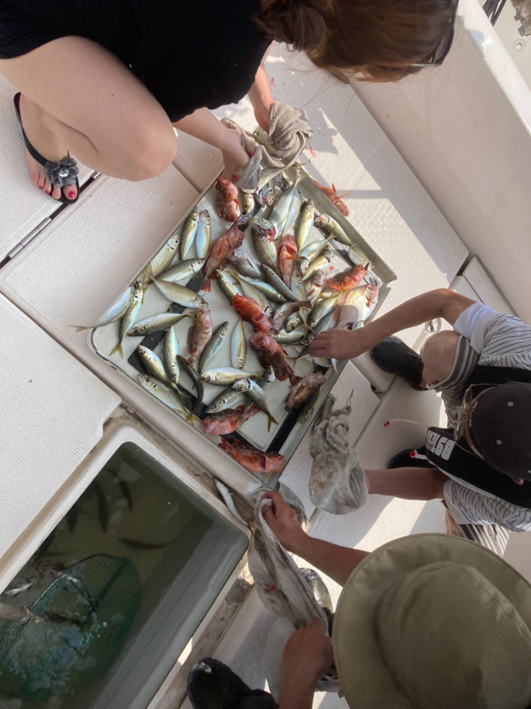 オフショア五目2022初