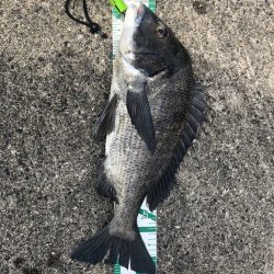 須磨ヨットハーバー沖一文字