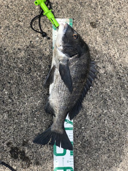 須磨ヨットハーバー沖一文字