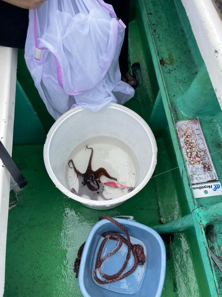 深川富士見タコキス