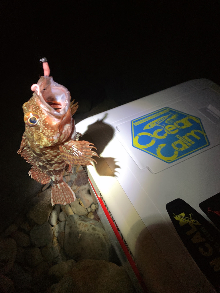 フロートアジング