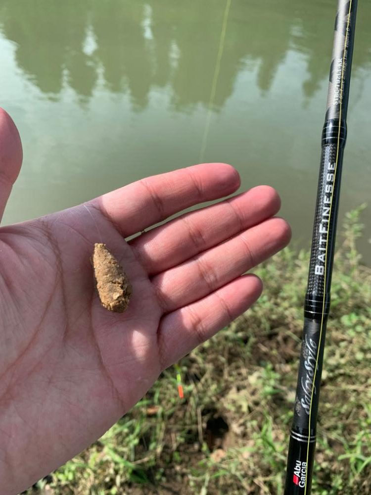原点にして頂点の淡水の釣りに癒される