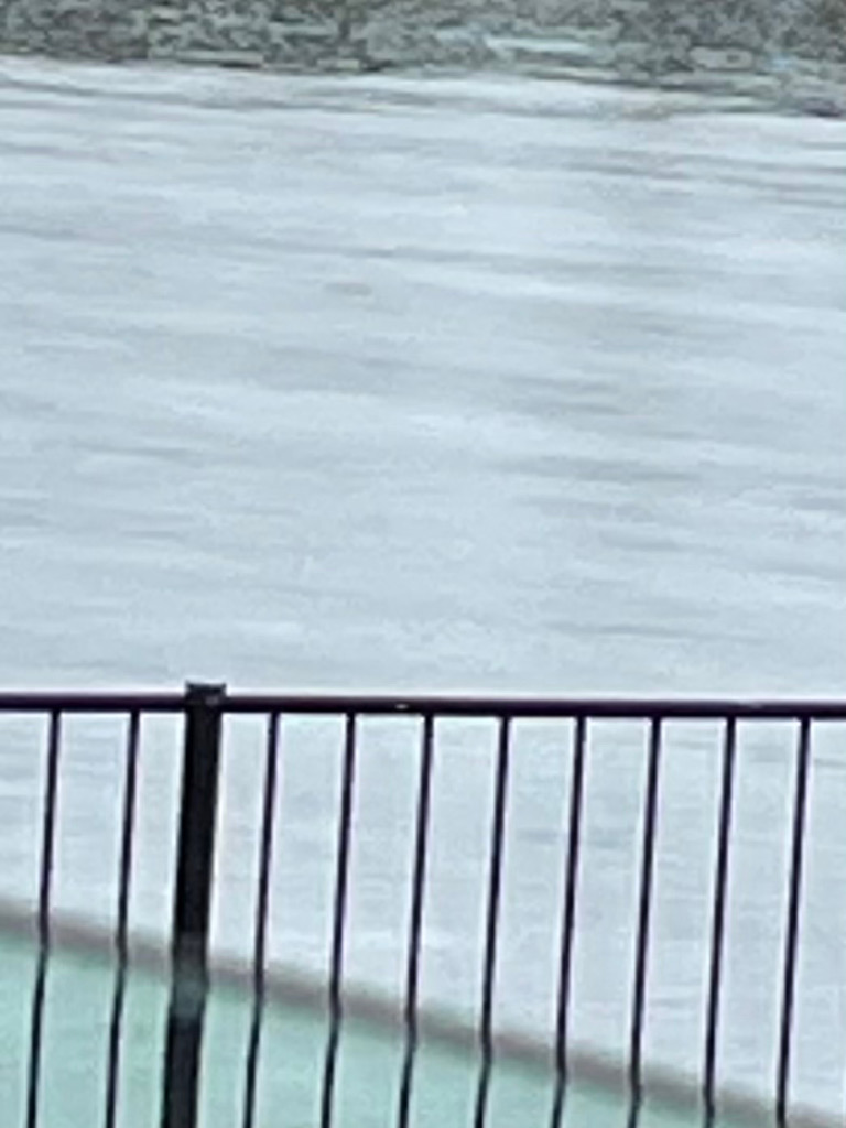 雨にも負けず、、