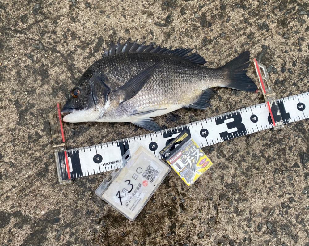 雨が降ったり止んだり