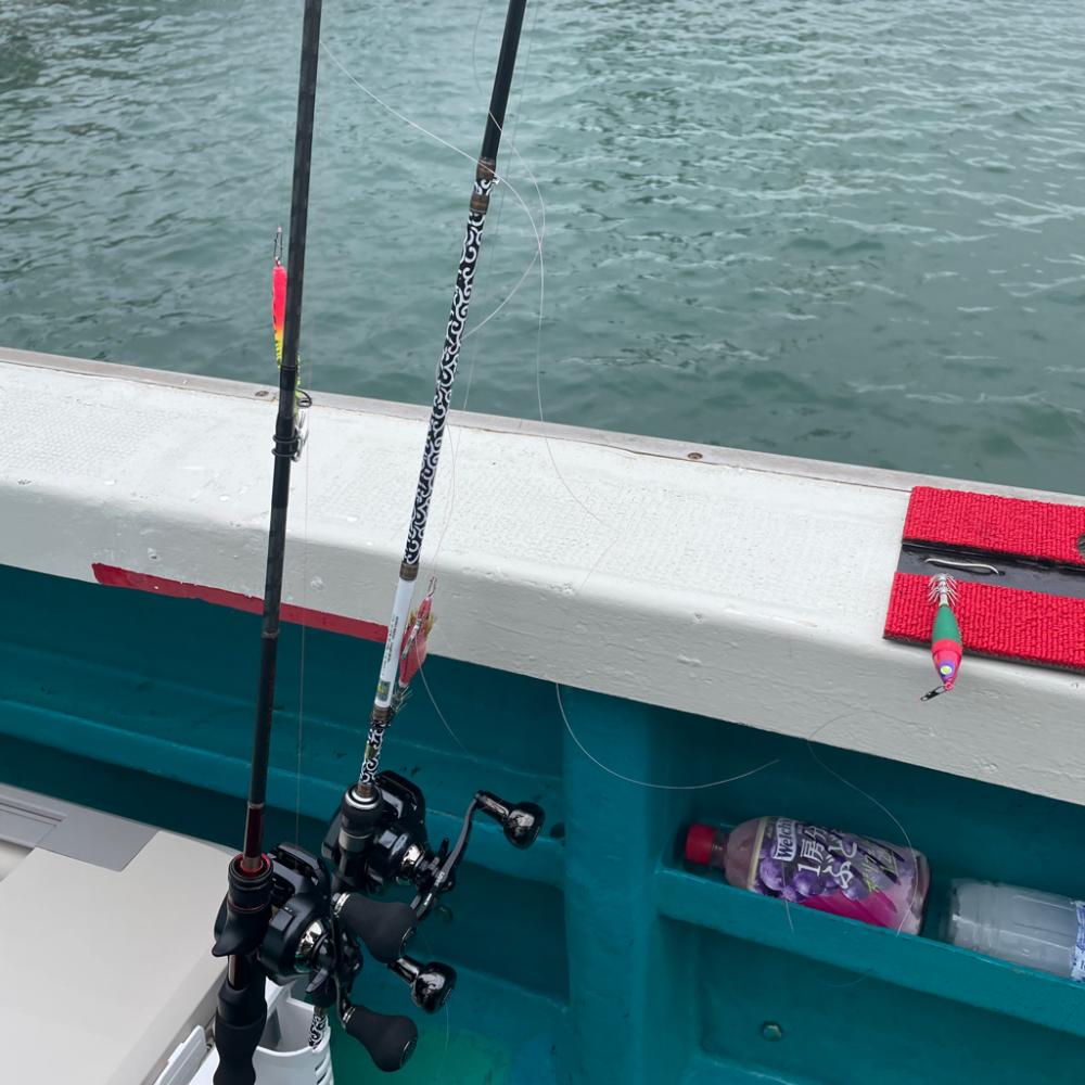 激渋！イカメタル