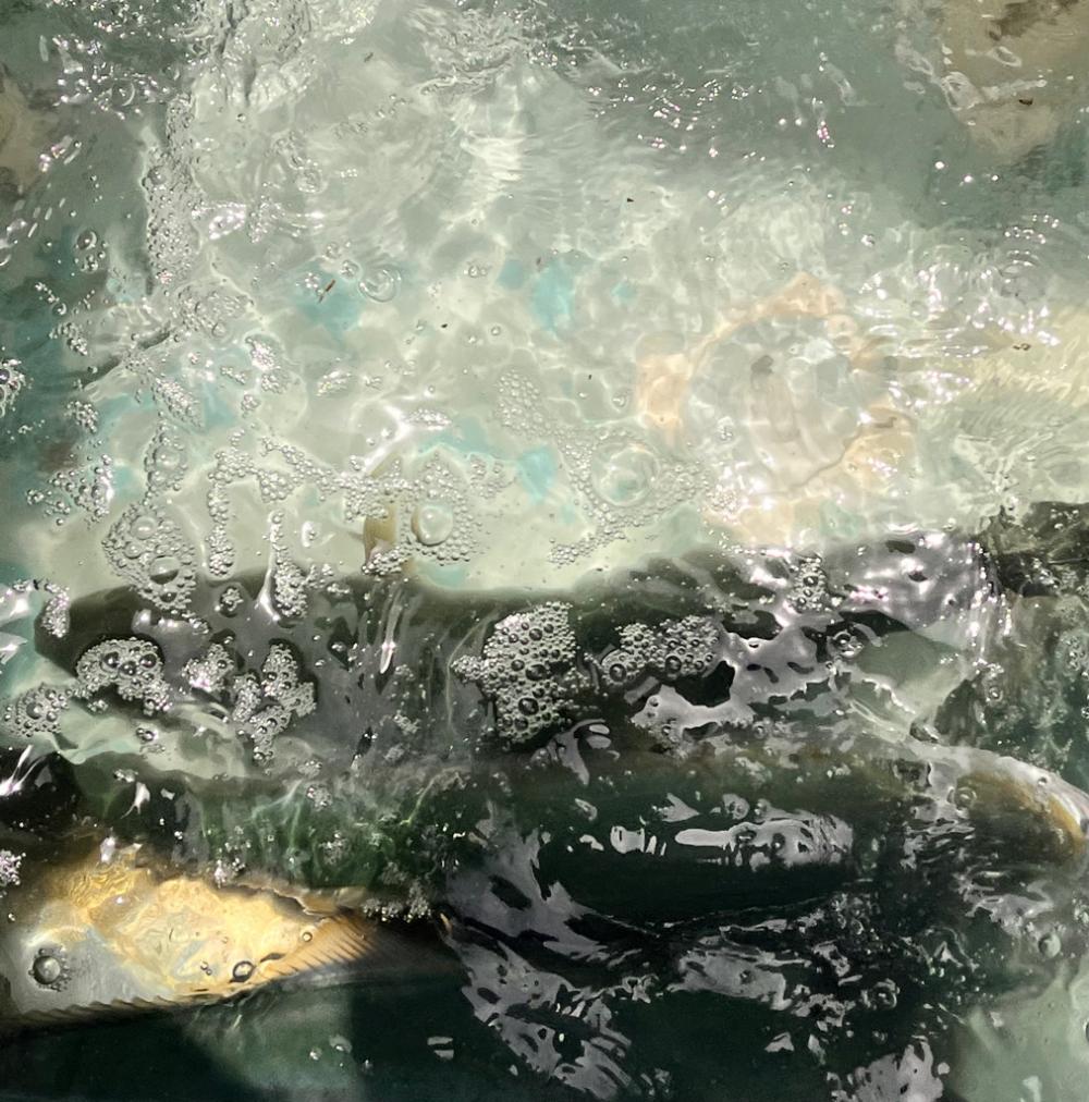 スーパーライトジギング