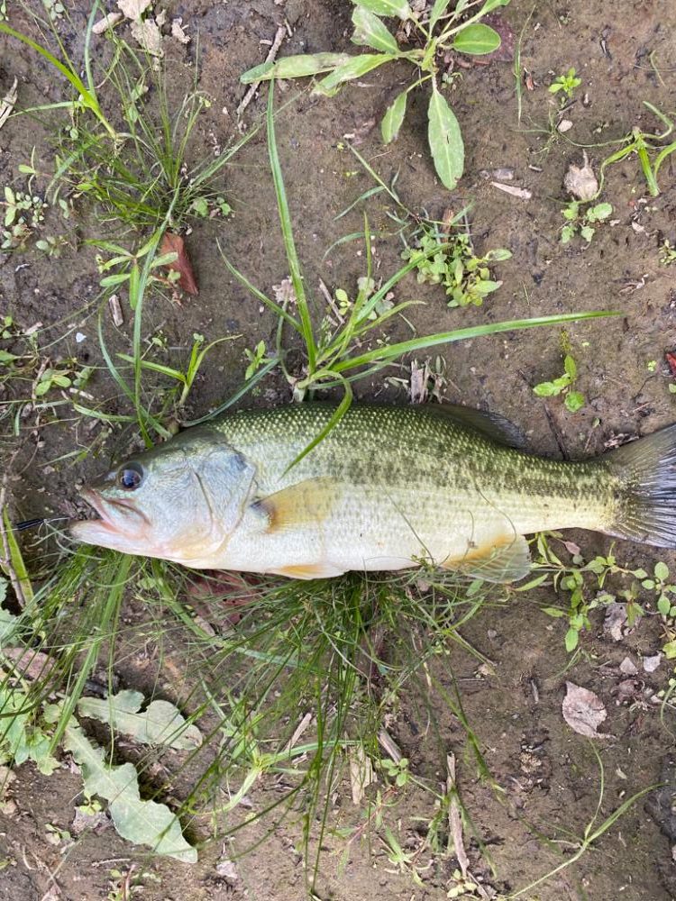 少し増水した川で！