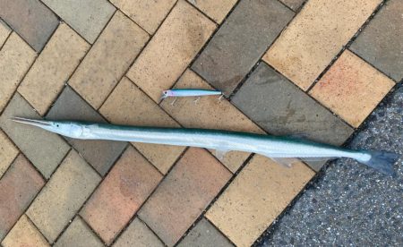 キス釣りとライトジギング