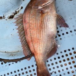 パターン読めず(＞＜)