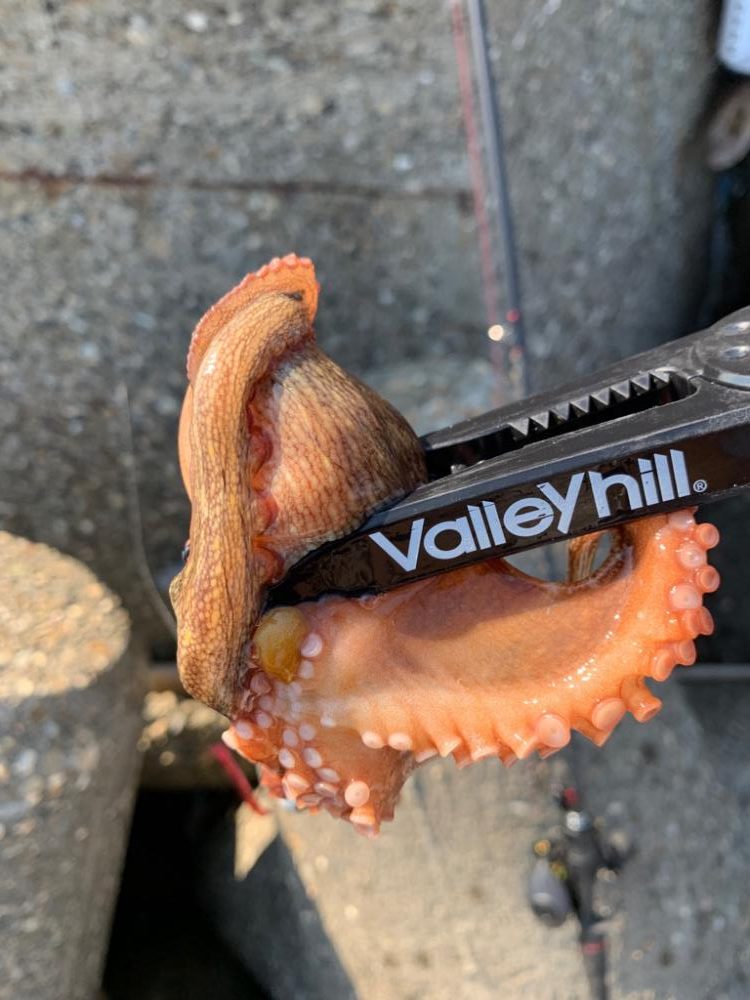 渋いけど、何とか！