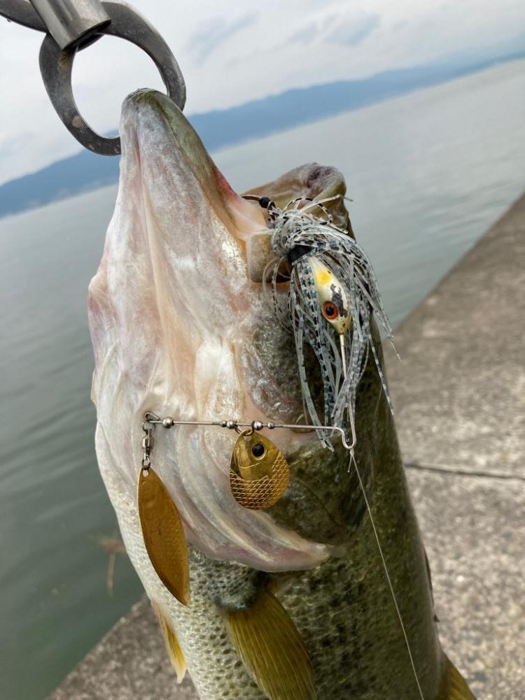 全開放流の琵琶湖