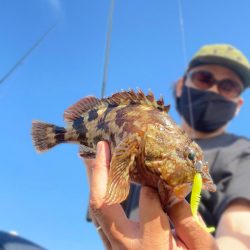 湾奥ライトゲーム!