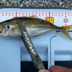 信頼のおけるリーダー