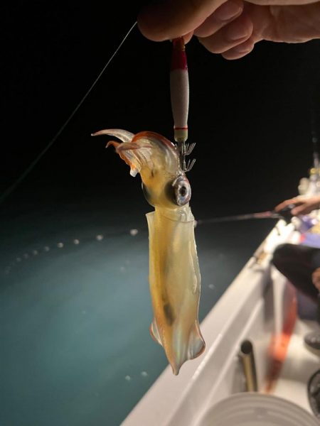 初のバチコン&イカメタル！