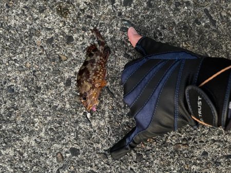 友達とガシリング