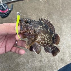 湾奥ライトゲーム！