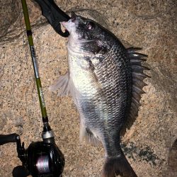 豆チニング祭り