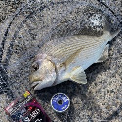 涼を求めて夕まづめに❗️