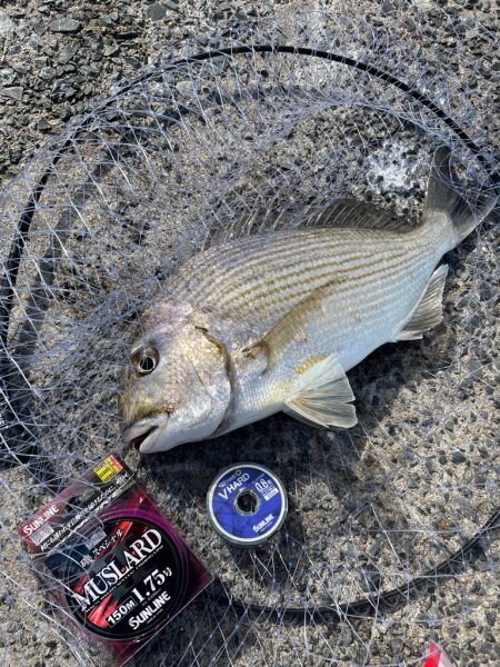 涼を求めて夕まづめに❗️