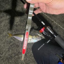 サイズは出ないけど…