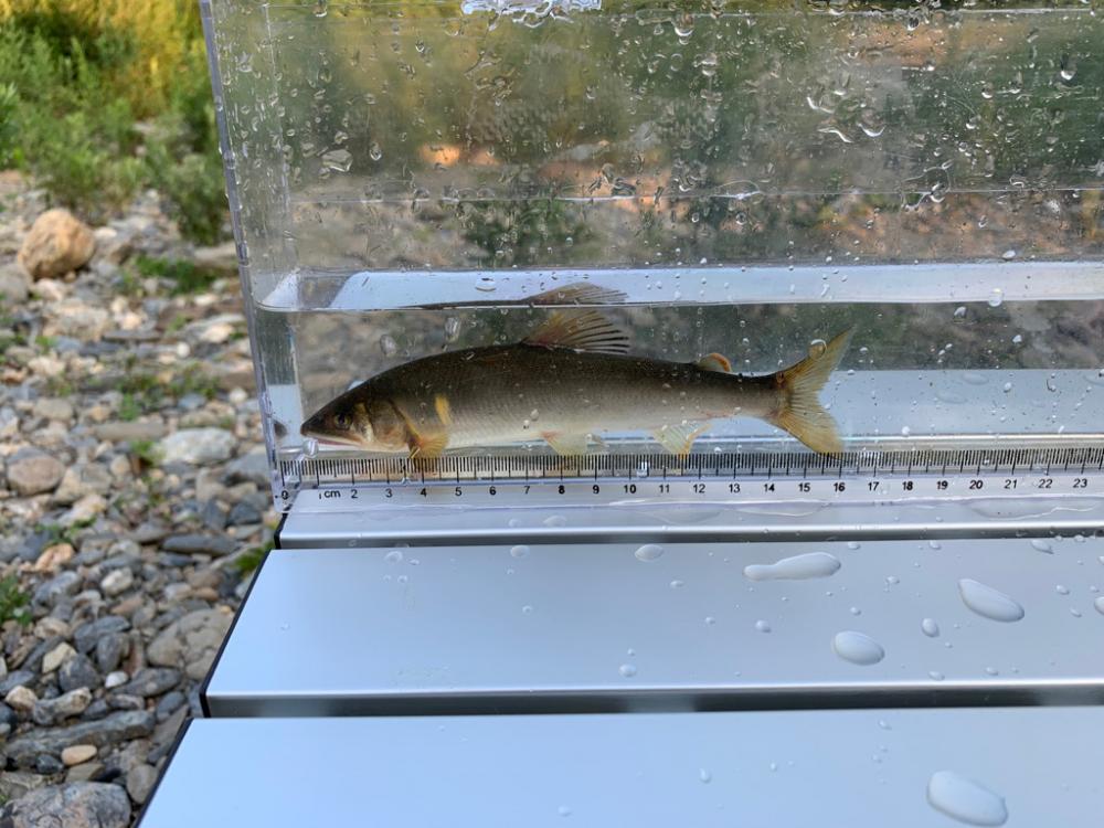 里山の休日　美山6