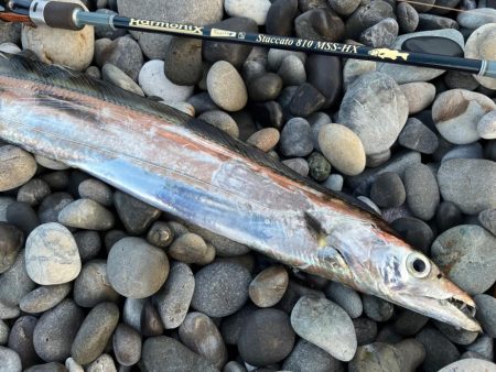 フリフリシャッド万能すぎ！