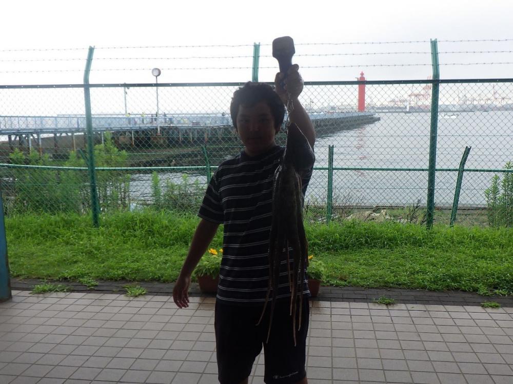 タコ釣りで大物が！？