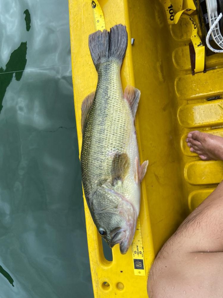 正木ダムへミニボート釣行