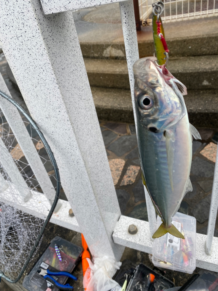 和歌山ショアジギ