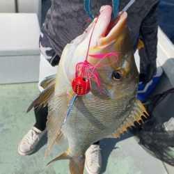 初めての宮古島！