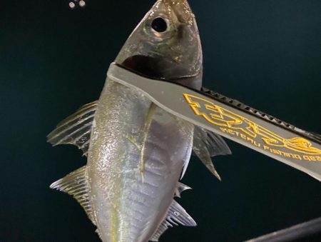 初のボートアジング