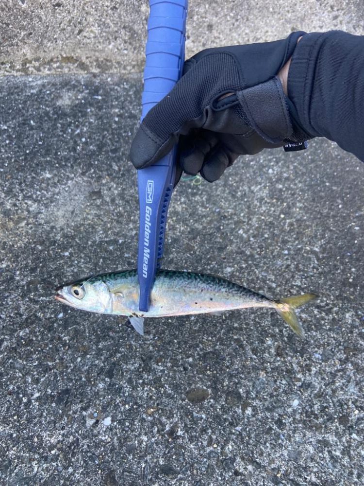 スーパーライトショアジギング SLS