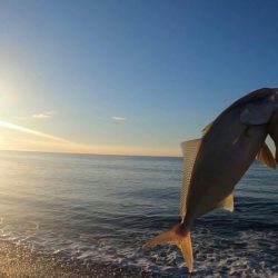 シオも少し成長中♪