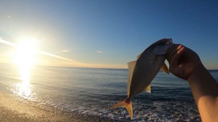 シオも少し成長中♪