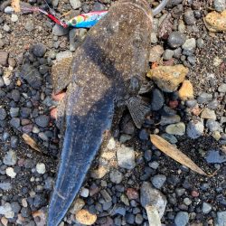 灼熱サーフフィッシング